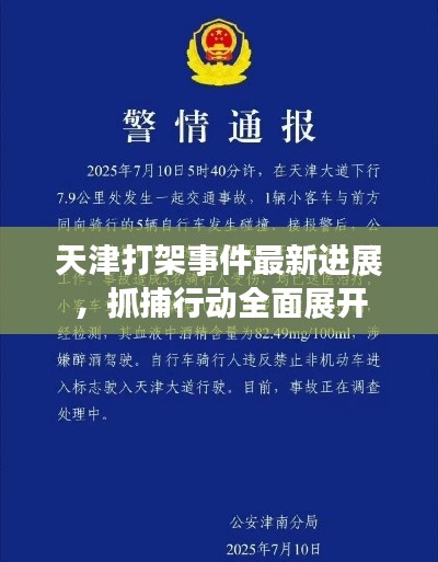天津打架事件最新进展,抓捕行动全面展开