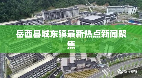 岳西县城东镇最新热点新闻聚焦