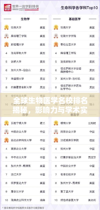 全球生物医学名校排名揭秘,影响力与学术实力并驾齐驱