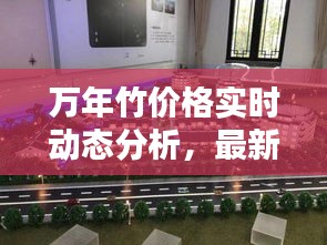 万年竹价格实时动态分析,最新走势揭秘