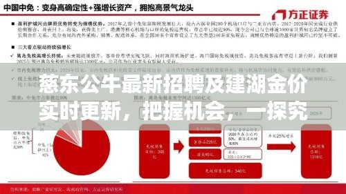 慈东公牛最新招聘及建湖金价实时更新，把握机会，一探究竟