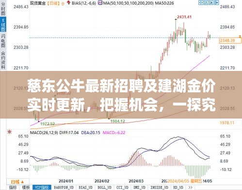 慈东公牛最新招聘及建湖金价实时更新,把握机会,一探究竟