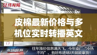皮棉最新价格与多机位实时转播英文,市场动态双重观察揭秘