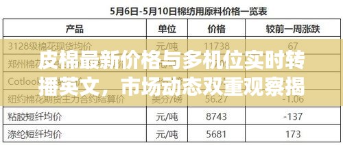 皮棉最新价格与多机位实时转播英文,市场动态双重观察揭秘