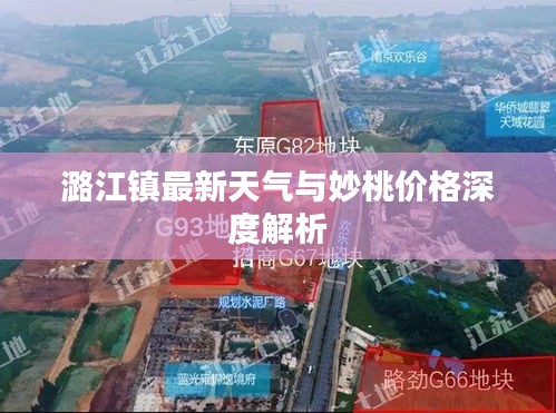 潞江镇最新天气与妙桃价格深度解析