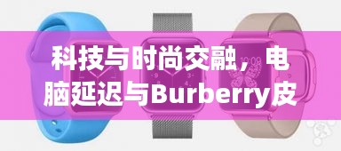 科技与时尚交融,电脑延迟与Burberry皮带价格实时关注