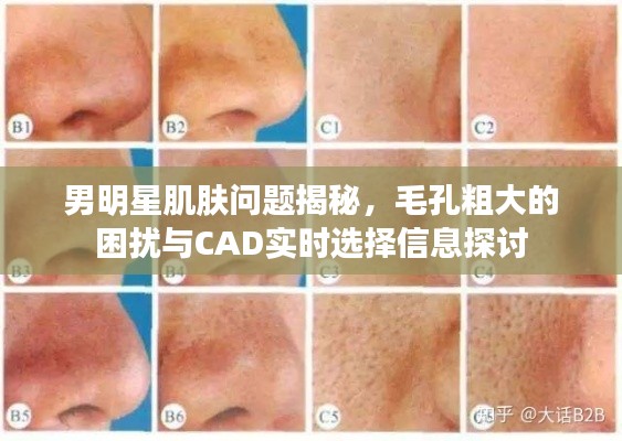 男明星肌肤问题揭秘，毛孔粗大的困扰与CAD实时选择信息探讨