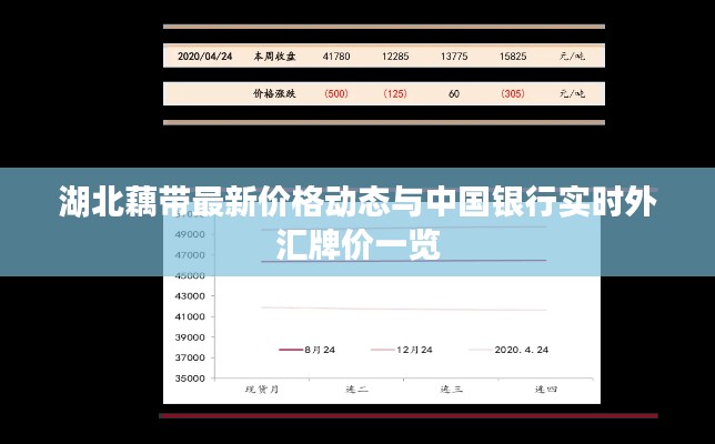 湖北藕带最新价格动态与中国银行实时外汇牌价一览