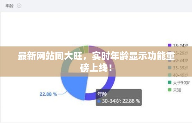 最新网站同大旺,实时年龄显示功能重磅上线!