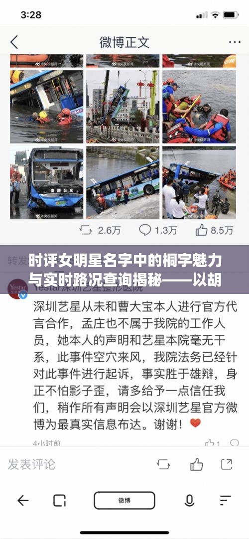 时评女明星名字中的桐字魅力与实时路况查询揭秘——以胡家庙为例探索