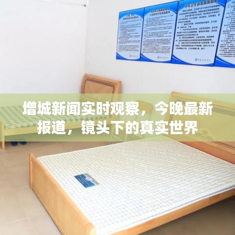 增城新闻实时观察,今晚最新报道,镜头下的真实世界