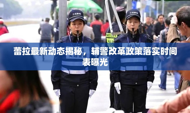 蕾拉最新动态揭秘，辅警改革政策落实时间表曝光