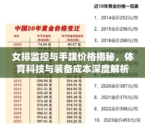 女排监控与手蹼价格揭秘,体育科技与装备成本深度解析