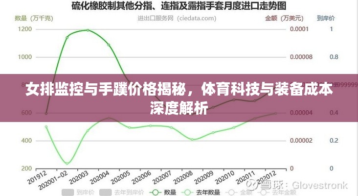 女排监控与手蹼价格揭秘,体育科技与装备成本深度解析