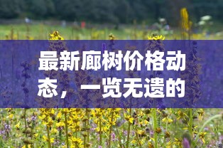 最新廊树价格动态,一览无遗的全方位消息更新