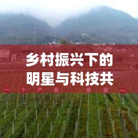 乡村振兴下的明星与科技共舞,实时支付引领新篇章