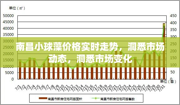 南昌小球藻价格实时走势，洞悉市场动态，洞悉市场变化