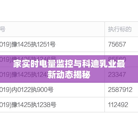 家实时电量监控与科迪乳业最新动态揭秘