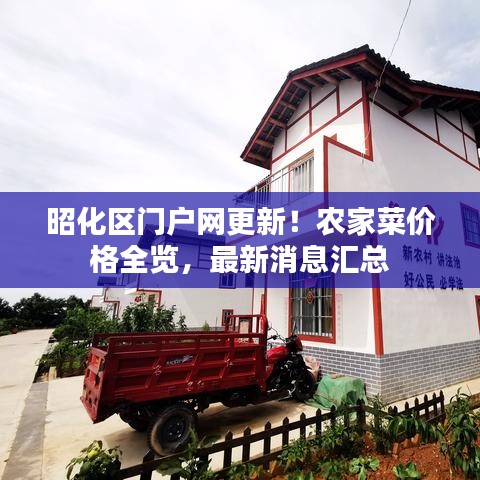 昭化区门户网更新!农家菜价格全览,最新消息汇总