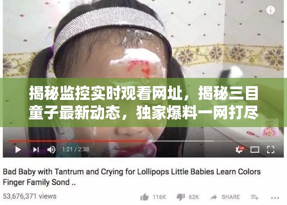 揭秘监控实时观看网址,揭秘三目童子最新动态,独家爆料一网打尽!