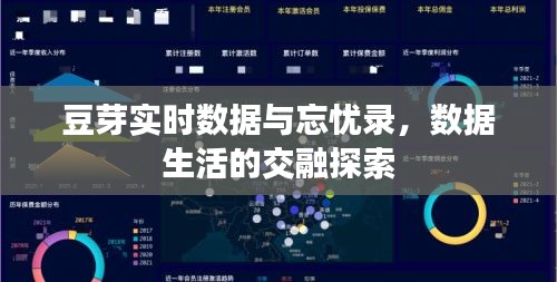 豆芽实时数据与忘忧录,数据生活的交融探索
