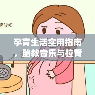 孕育生活实用指南，胎教音乐与拉臂车价格全解析