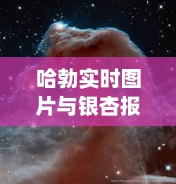 哈勃实时图片与银杏报价,宇宙自然交织之美惊艳亮相!