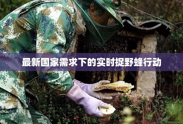最新国家需求下的实时捉野蜂行动