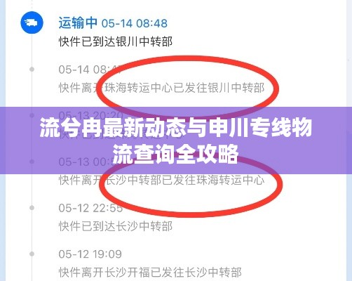 流兮冉最新动态与申川专线物流查询全攻略