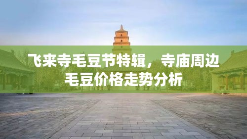 飞来寺毛豆节特辑,寺庙周边毛豆价格走势分析