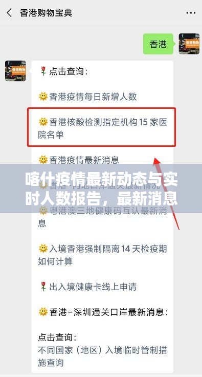 喀什疫情最新动态与实时人数报告,最新消息汇总
