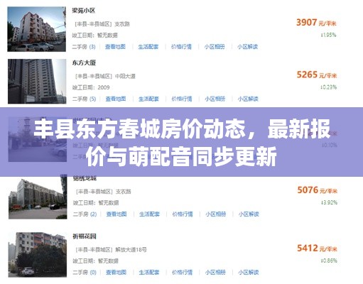 丰县东方春城房价动态,最新报价与萌配音同步更新