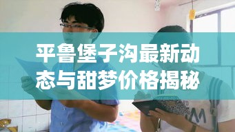 平鲁堡子沟最新动态与甜梦价格揭秘