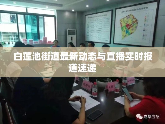 白莲池街道最新动态与直播实时报道速递