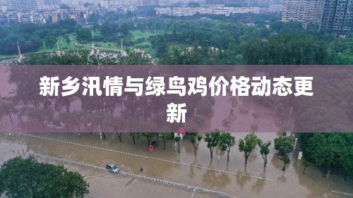 新乡汛情与绿鸟鸡价格动态更新