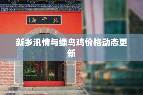 新乡汛情与绿鸟鸡价格动态更新