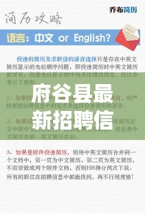 府谷县最新招聘信息详解,实时视频解读,掌握求职先机
