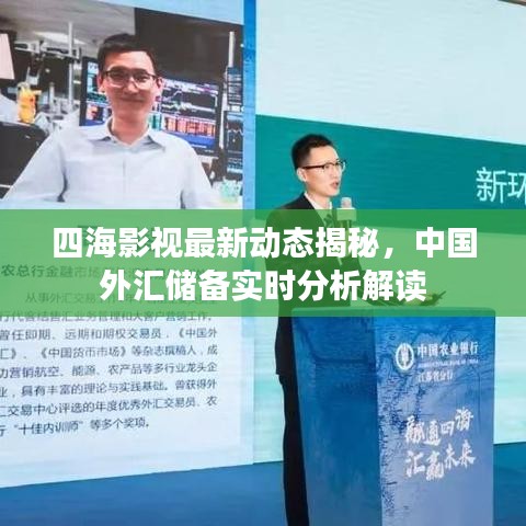 四海影视最新动态揭秘,中国外汇储备实时分析解读