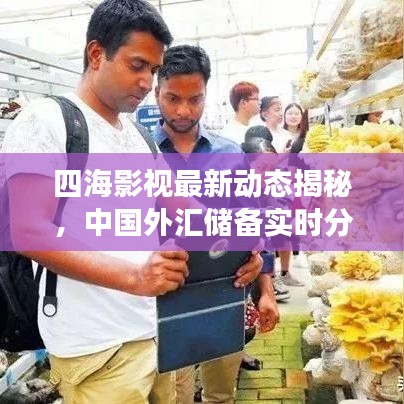四海影视最新动态揭秘,中国外汇储备实时分析解读