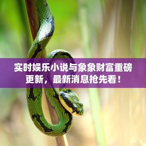 实时娱乐小说与象象财富重磅更新,最新消息抢先看!