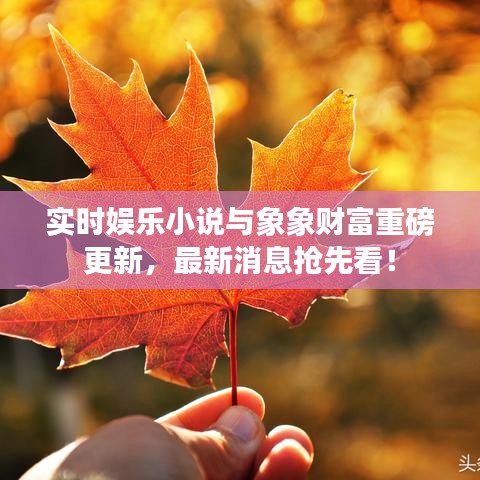 实时娱乐小说与象象财富重磅更新,最新消息抢先看!