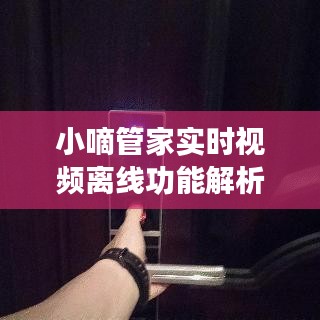 小嘀管家实时视频离线功能解析与御家瓷砖价格探讨