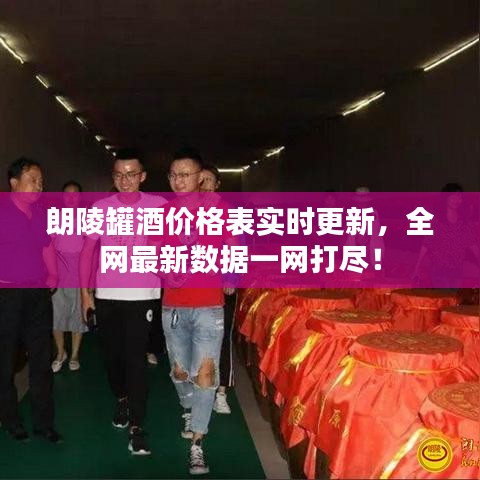 朗陵罐酒价格表实时更新,全网最新数据一网打尽!