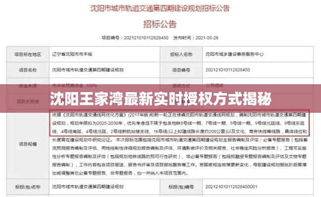 沈阳王家湾最新实时授权方式揭秘