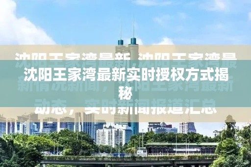 沈阳王家湾最新实时授权方式揭秘