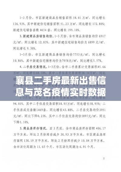 襄县二手房最新出售信息与茂名疫情实时数据更新报告