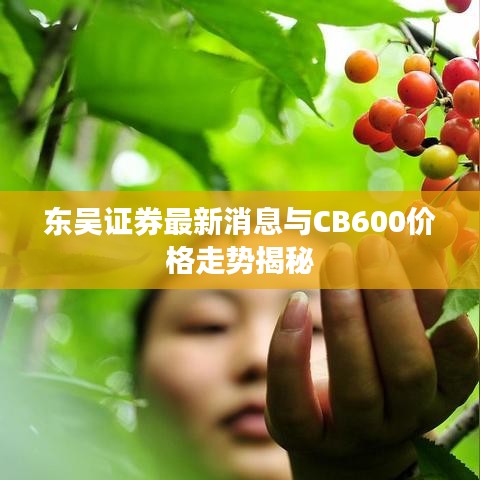 东吴证券最新消息与CB600价格走势揭秘
