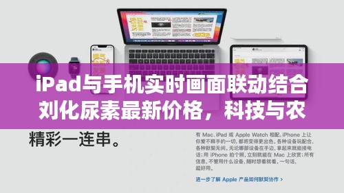 iPad与手机实时画面联动结合刘化尿素最新价格，科技与农业的双重焦点
