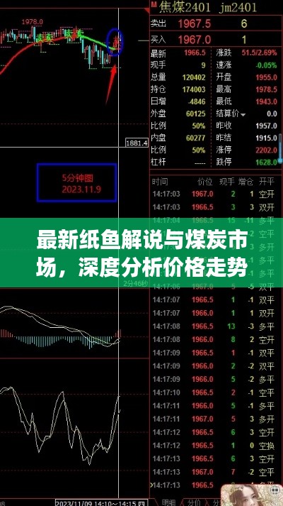 最新纸鱼解说与煤炭市场，深度分析价格走势及展望