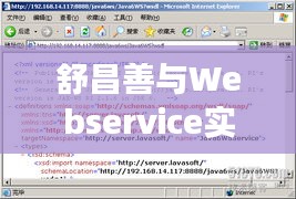 舒昌善与Webservice实时性技术最新进展揭秘